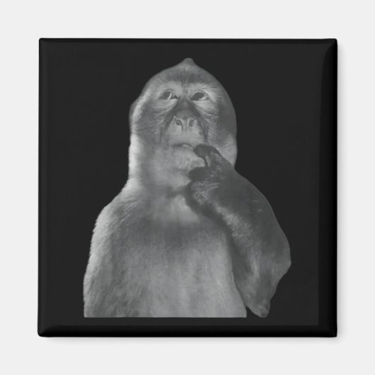 Aimant Funny Thinking Monkey Meme Curious Ape Brainrot  (Devant)