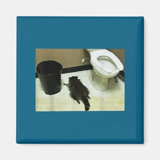 Aimant Funny Trashed Panda Drunk Racoon (Devant)