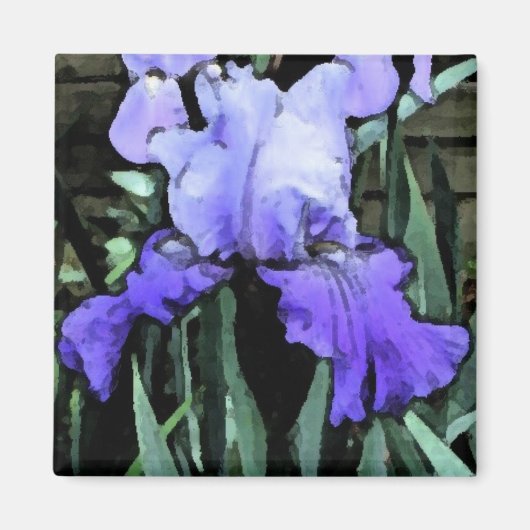 Aimant FX-Blue Iris (Devant)