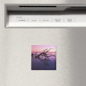 Aimant GA Jekyll Island, cimetière d'arbre sur la plage à (In Situ (Lave-vaisselle))