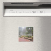 Aimant GA Savannah, Azaleas, le long du trottoir en briqu (In Situ (Lave-vaisselle))