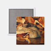 Aimant Gaboon Viper (Recto/Verso)