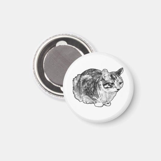 Aimant Galerie de cuisine : Tabby avec points de neige (Recto/Verso)