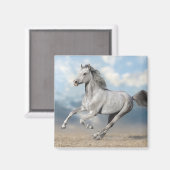 Aimant Galeries de Chevaux Gris Arabe À Travers Le Paysag (Recto/Verso)