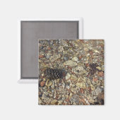 Aimant Galets dans Taylor Creek Nature Photography (Recto/Verso)