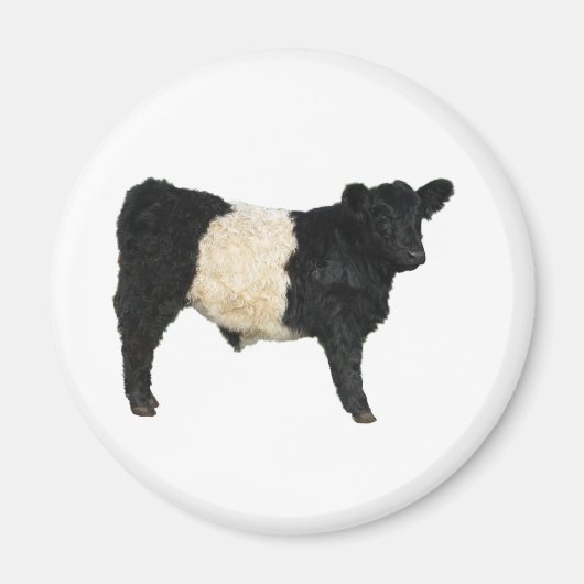 Aimant Galloway Steer Cutout (Devant)