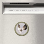 Aimant Gamecock : Hennie (In Situ (Lave-vaisselle))