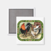 Aimant Gamefowl à la ferme (Recto/Verso)