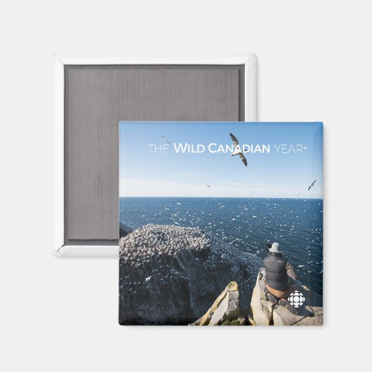 Aimant Gannets du Nord (Recto/Verso)