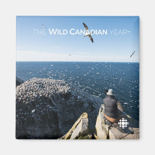 Aimant Gannets du Nord