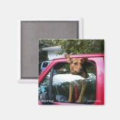 Aimant Garde Chien ! (Recto/Verso)