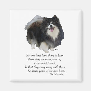 Aimant Garde de Pomeranian noir