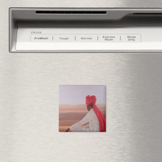 Aimant Garde du palais Jaipur (In Situ (Lave-vaisselle))