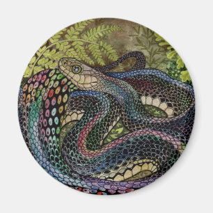 Aimant Gardener Snake Study Beyond the Skin