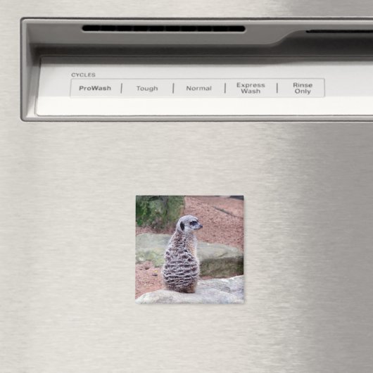 Aimant gardien de meerkat (In Situ (Lave-vaisselle))