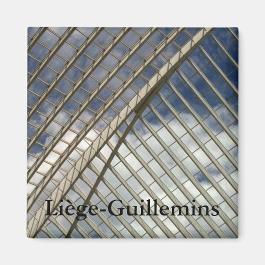 Aimant Gare de Liège-Guillemins (Devant)