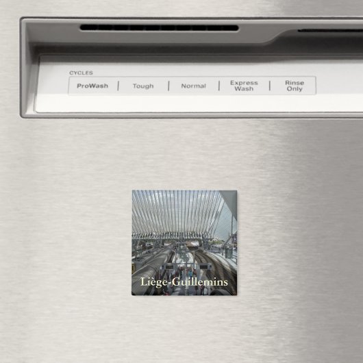 Aimant Gare de Liège-Guillemins (In Situ (Lave-vaisselle))