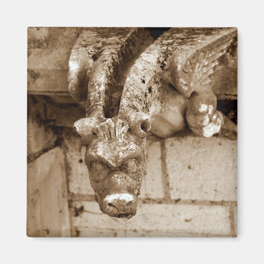 Aimant gargoyle (Devant)