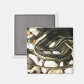 Aimant Garter Snake sur les rochers (Recto/Verso)