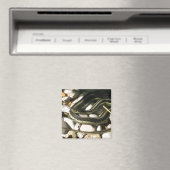 Aimant Garter Snake sur les rochers (In Situ (Lave-vaisselle))