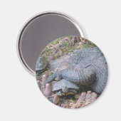 Aimant "Gator Hugs" (Recto/Verso)