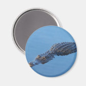 Aimant Gator I (Recto/Verso)