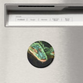 Aimant Gators verts (In Situ (Lave-vaisselle))