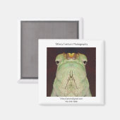 Aimant Gatsu Promo (Recto/Verso)