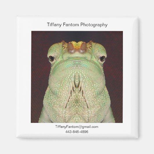 Aimant Gatsu Promo (Devant)