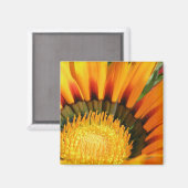 Aimant Gazania (Recto/Verso)