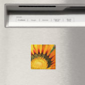 Aimant Gazania (In Situ (Lave-vaisselle))