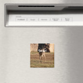 Aimant Gazelle israélienne (In Situ (Lave-vaisselle))