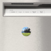 Aimant gazon de pont syd (In Situ (Lave-vaisselle))