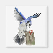 Aimant Geai bleu oiseau de la forêt à l'aquarelle (Devant)