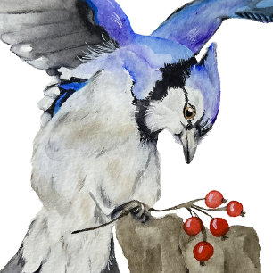 Aimant Geai bleu oiseau de la forêt à l'aquarelle
