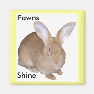 Aimant géant flamand de lapin de faon carré
