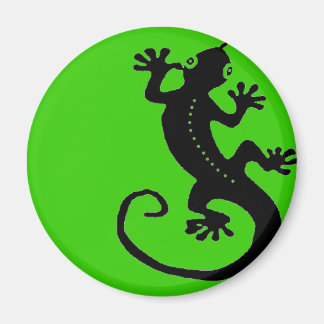 Aimant Gecko 1