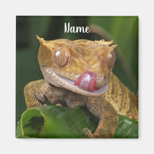 Aimant Gecko Lizard à poitrine personnalisée