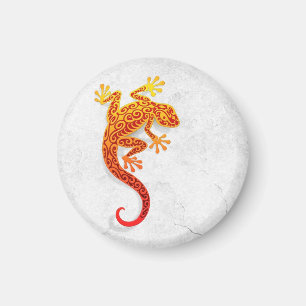 Aimant Gecko rouge s'élevant sur un mur blanc