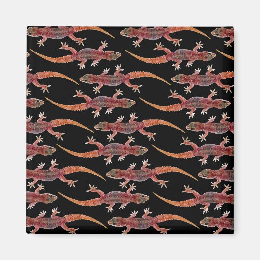 Aimant Geckos (Devant)
