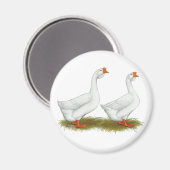 Aimant Geese de l'Afrique blanche (Recto/Verso)