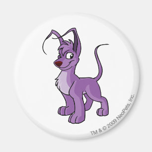Aimant Gelert Purple