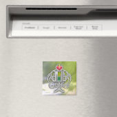 Aimant gemini (In Situ (Lave-vaisselle))