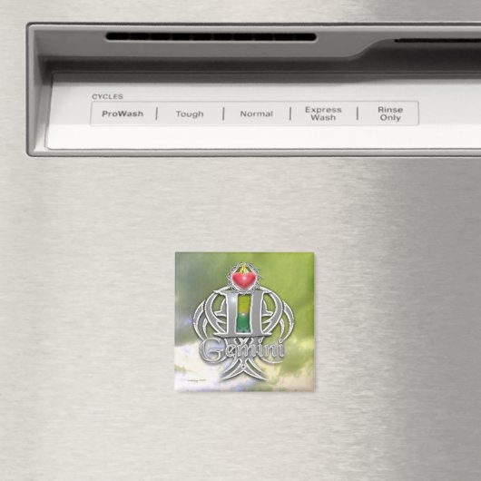 Aimant gemini (In Situ (Lave-vaisselle))