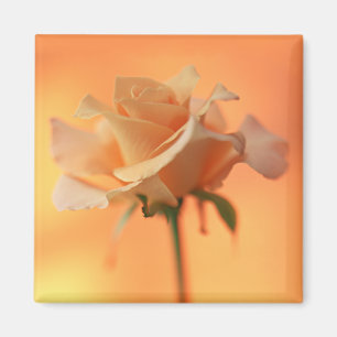 Aimant Générosité 5 de jardin