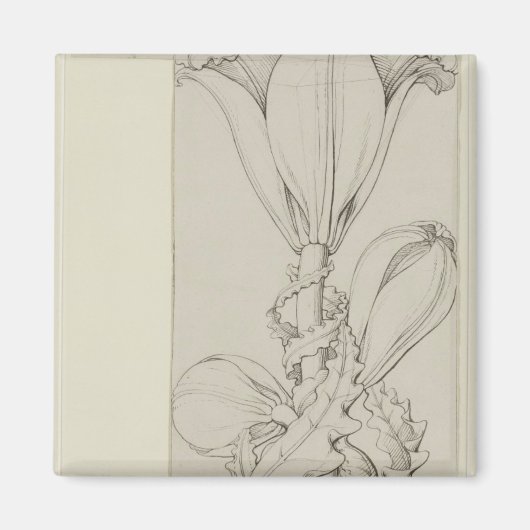 Aimant Génie de la Lily, 1809 (Devant)