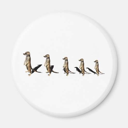 Aimant Génotype (Devant)