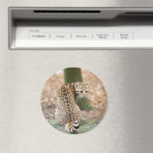 Aimant geoffroy-cat-004 (In Situ (Lave-vaisselle))