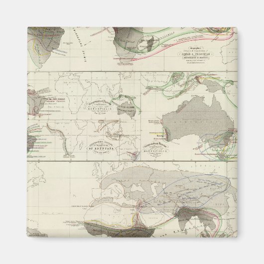 Aimant Géographie zoologique (Devant)