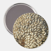 Aimant - Géométrie du tournesol (Recto/Verso)